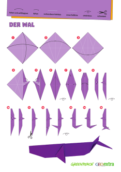 Origami Wal| Greenpeace