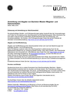 Infoblatt: Abschlussarbeiten