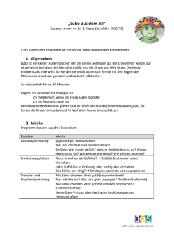 Info-Brief zum "Lubo