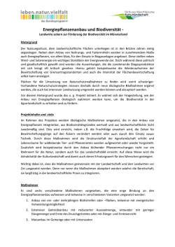 Infoblatt