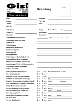 Bewerbung - Gisi Com GmbH Gebenstorf