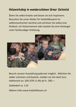 Holzworkshop in wundersch&ouml;nen Urner Seitental