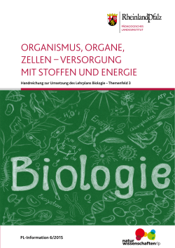 ORGANISMUS, ORGANE, ZELLEN – VERSORGUNG MIT