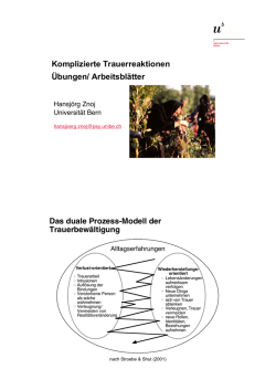 Komplizierte Trauer_Arbeitsbl&auml;tter - Ilias