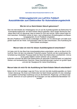 Leif Eric Falldorf - Saint-Gobain Sekurit Deutschland
