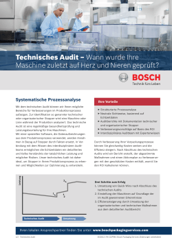 Technisches Audit - Bosch Packaging Technology