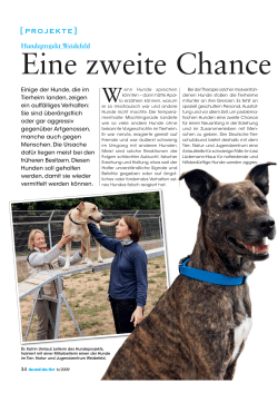 Eine zweite Chance - Deutscher Tierschutzbund