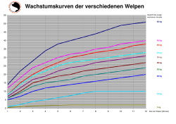 Wachstumskurven der verschiedenen Welpen