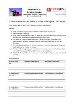 Ein Protokoll verfassen