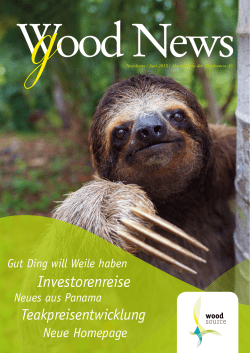 Investorenreise