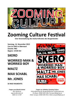Pressemappe 2015 - Zooming Culture