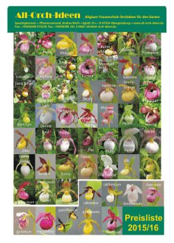Cypripedium - All-Orch