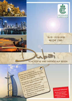 Flugreise nach Dubai