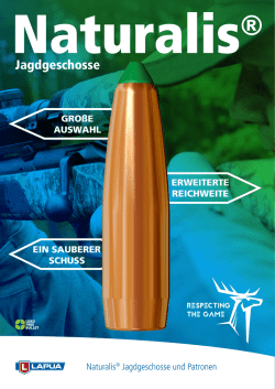Jagdgeschosse