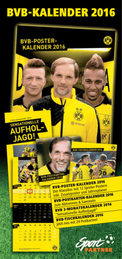 BVB-Kalender 2016 - Sportpartner Dortmund
