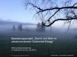 Biotopverbund Bodensee: Storch und Stier