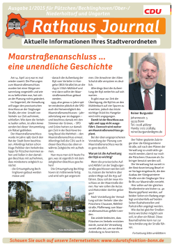 Rathaus-Flyer Reiner Burgunder 6-2015 - CDU