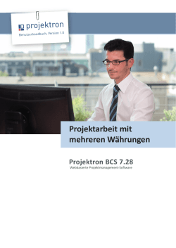 Projektarbeit mit mehreren Währungen