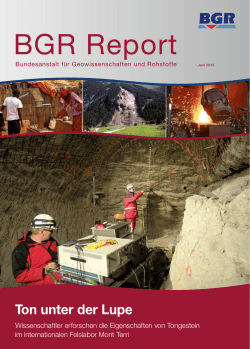 BGR Report der Bundesanstalt für Geowissenschaften