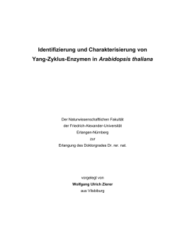 Identifizierung und Charakterisierung von Yang-Zyklus