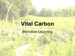 Vital Carbon – Biomasse