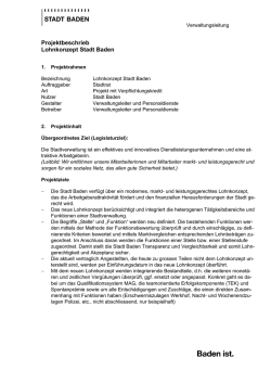 Personalreglement_Lohnkonzept_Beilage_Projektbeschrieb