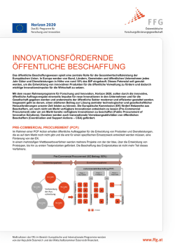 Infoblatt PCP/PPI