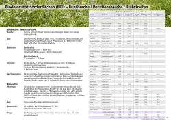 Druckversion als PDF