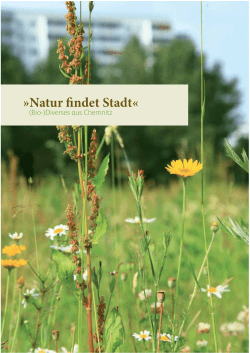 Gr&uuml;nlandprojekt