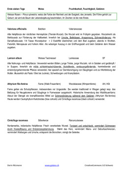 Heilpflanzenzyklus Details