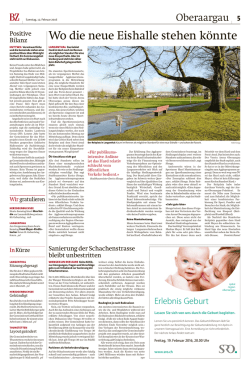 Artikel - Wo die neue Eishalle stehen k&ouml;nnte