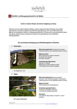 Projektarbeit von A.I. Schmid