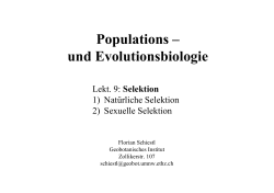 Populations – und Evolutionsbiologie
