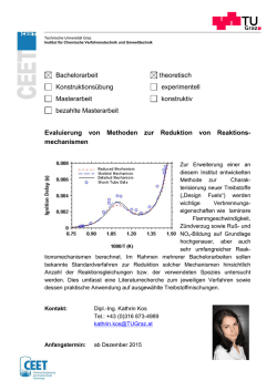Reduktion von Reaktionsmechanismen