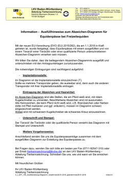 Infoblatt Ausf&uuml;llen Abzeichen-Diagramm Equiden