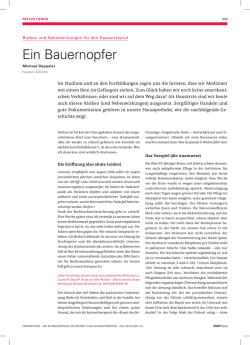 Ein Bauernopfer