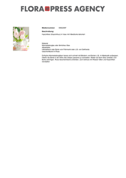 Hyazinthen (Hyacinthus) in Vase mit H&auml;kelborte dekoriert Material