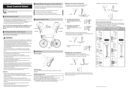 Dual Control-Hebel