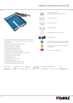 Hebel-Schneidemaschine 565