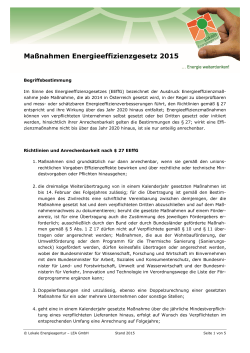 Maßnahmen Energieeffizienzgesetz 2015