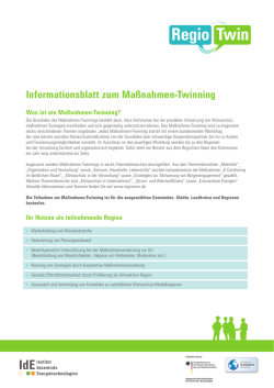 Informationsblatt zum Ma&szlig;nahmen-Twinning