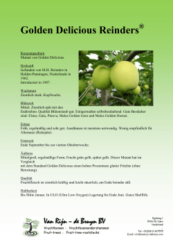 Golden Delicious Reinders