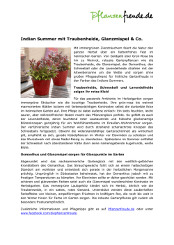 Indian Summer mit Traubenheide, Glanzmispel & Co.