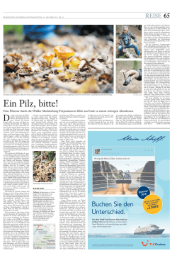 Ein Pilz, bitte!