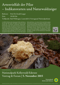 Artenvielfalt der Pilze - NationalparkZentrum Kellerwald