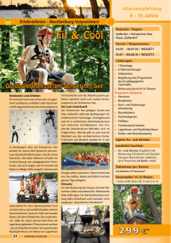 Seite als PDF