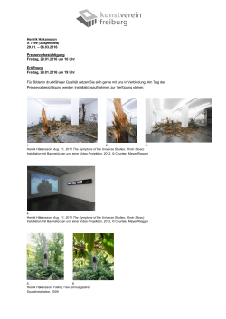 Henrik H&aring;kansson A Tree (Suspended) 29.01. &ndash; 06.03.2016