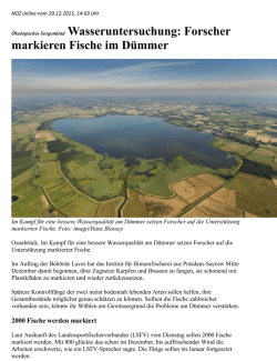 markieren Fische im Dümmer