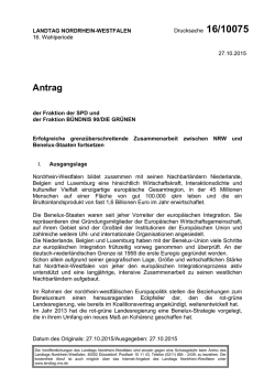 Drucksache 16/10075