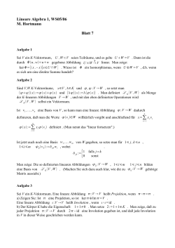 Lineare Algebra 1, WS05/06 M. Hortmann Blatt 7